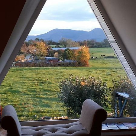 Annaswood B&B Cahir Dış mekan fotoğraf
