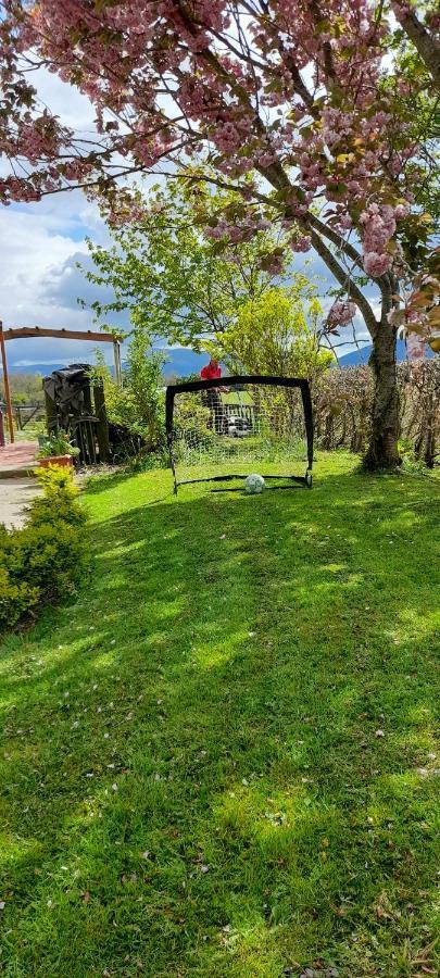 Annaswood B&B Cahir Dış mekan fotoğraf