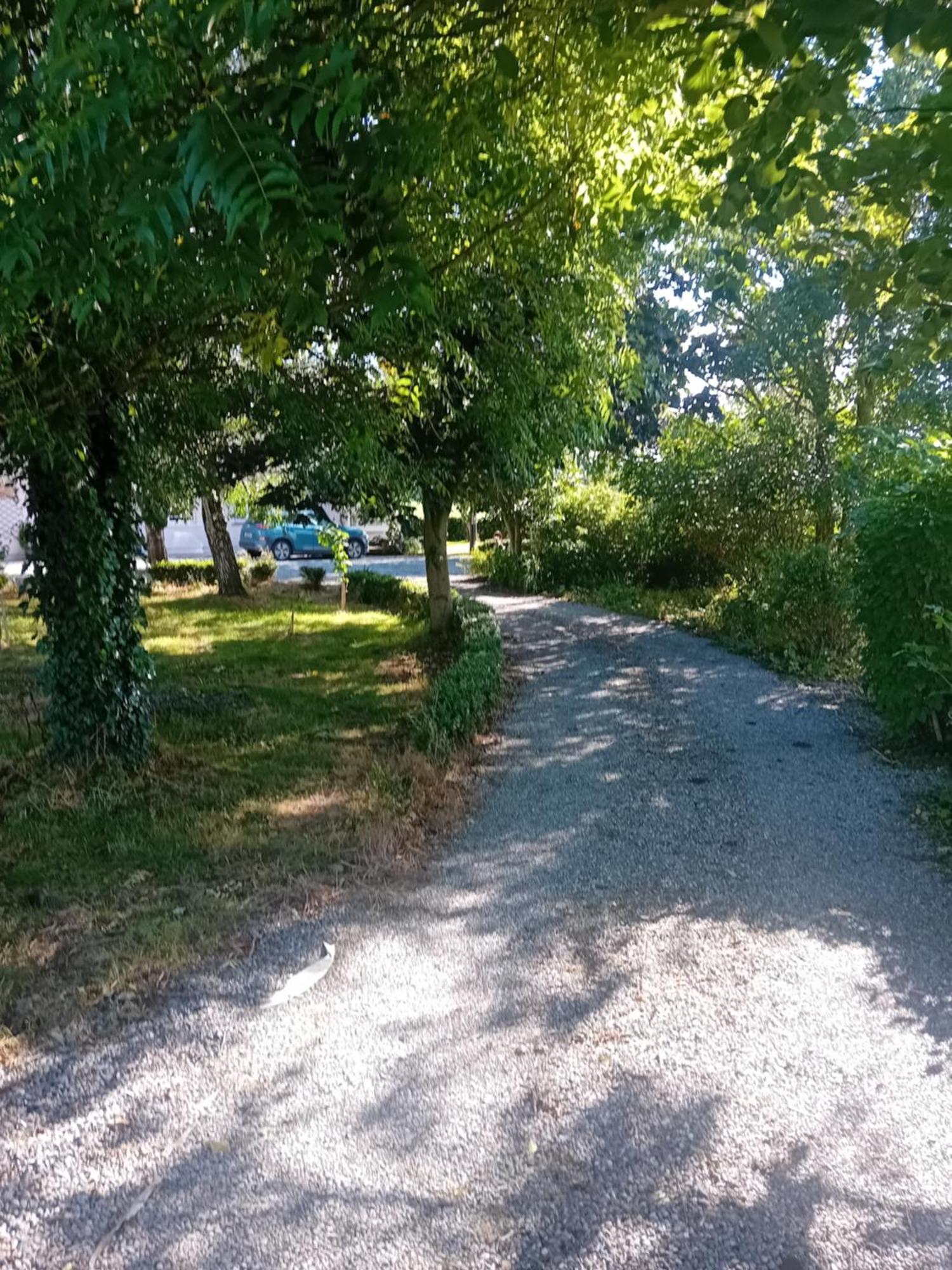 Annaswood B&B Cahir Dış mekan fotoğraf