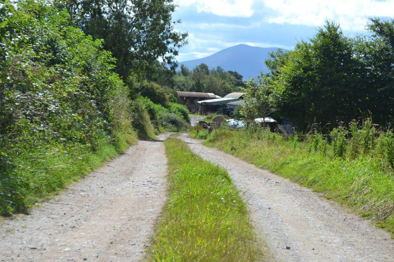 Annaswood B&B Cahir Dış mekan fotoğraf