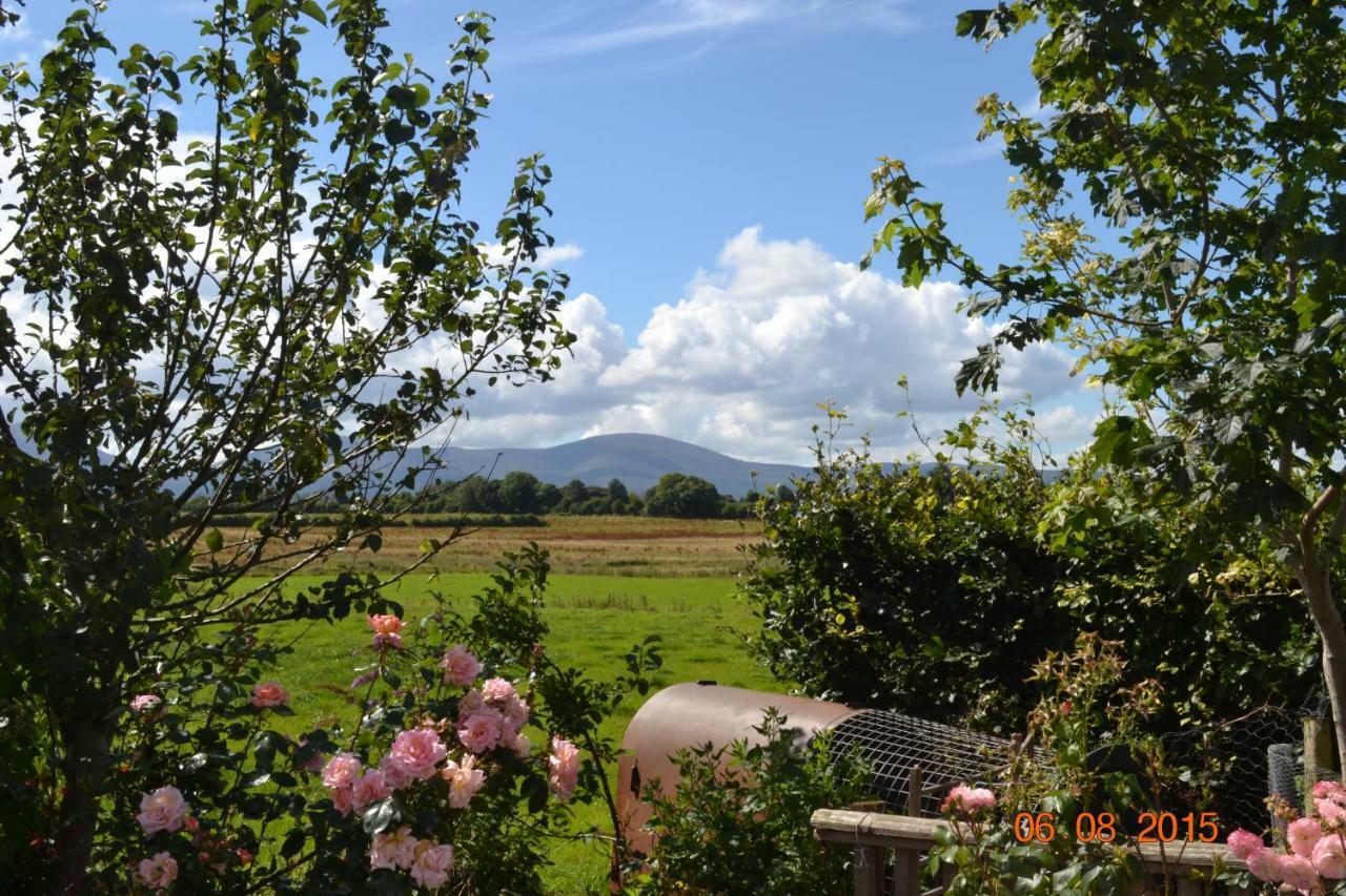 Annaswood B&B Cahir Dış mekan fotoğraf