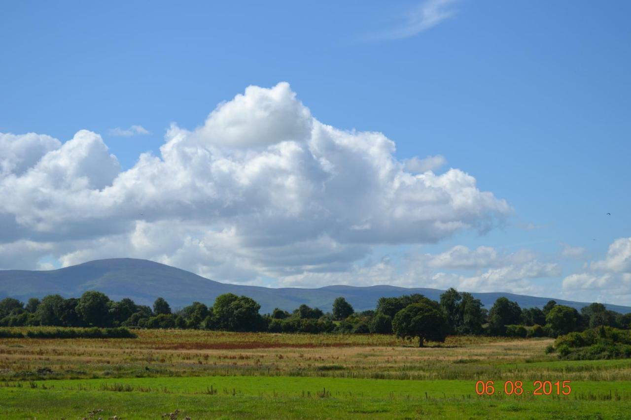 Annaswood B&B Cahir Dış mekan fotoğraf