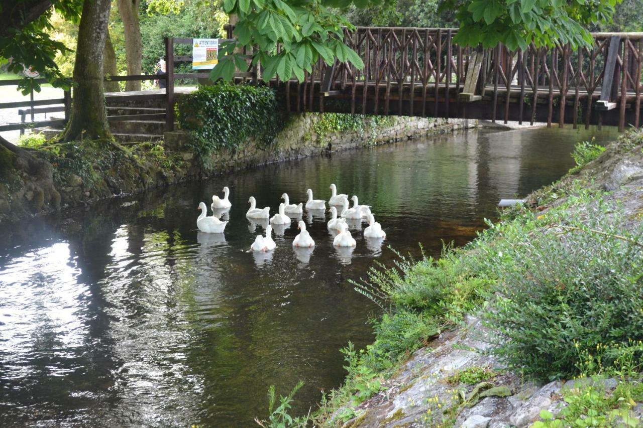 Annaswood B&B Cahir Dış mekan fotoğraf