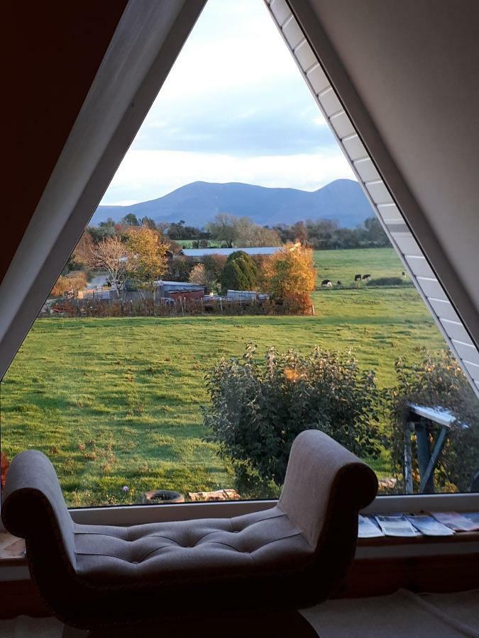 Annaswood B&B Cahir Dış mekan fotoğraf